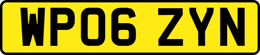 WP06ZYN