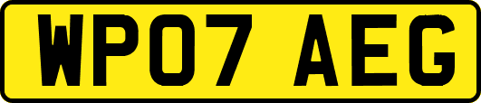 WP07AEG