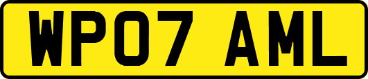 WP07AML