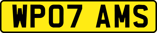 WP07AMS