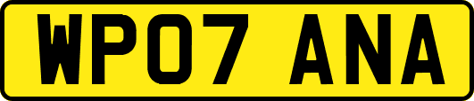 WP07ANA