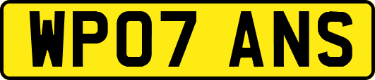 WP07ANS