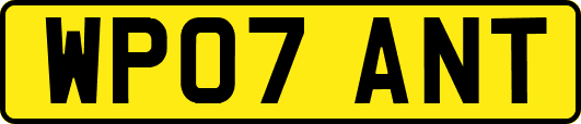 WP07ANT