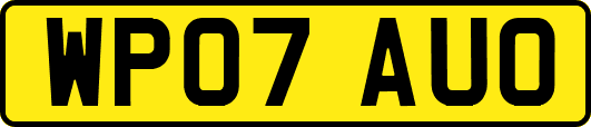 WP07AUO