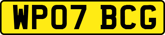 WP07BCG