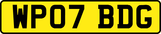 WP07BDG