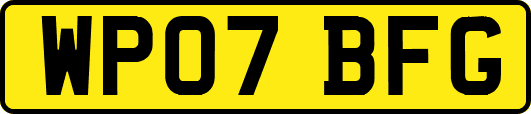 WP07BFG