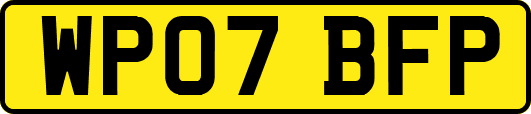 WP07BFP