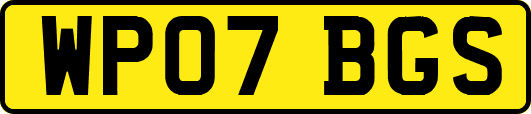 WP07BGS