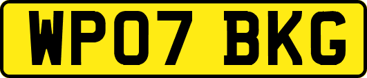 WP07BKG