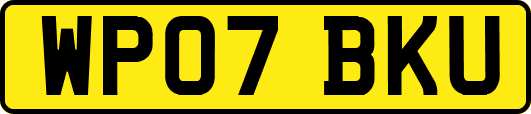 WP07BKU