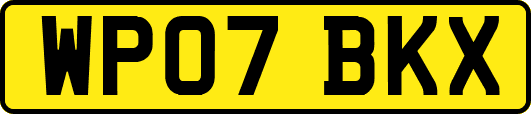 WP07BKX