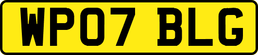 WP07BLG