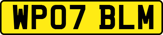 WP07BLM