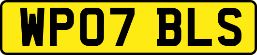 WP07BLS