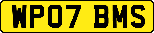 WP07BMS
