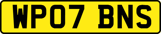 WP07BNS