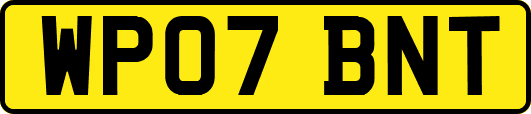 WP07BNT