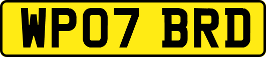 WP07BRD