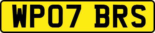 WP07BRS