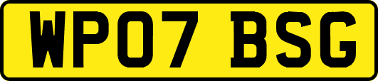 WP07BSG