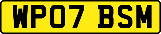 WP07BSM