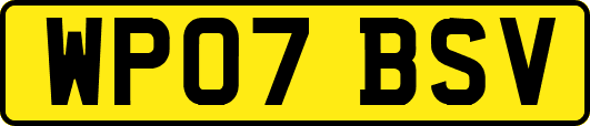 WP07BSV