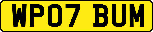 WP07BUM