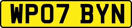 WP07BYN
