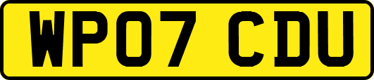 WP07CDU