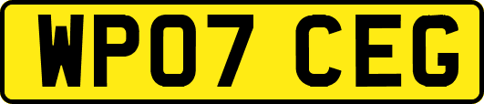 WP07CEG