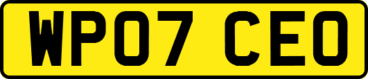 WP07CEO