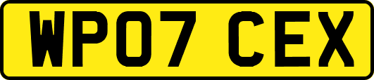 WP07CEX
