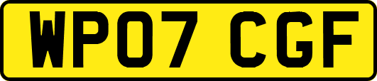WP07CGF