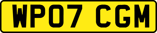 WP07CGM