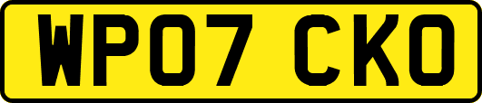 WP07CKO