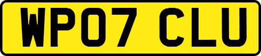 WP07CLU