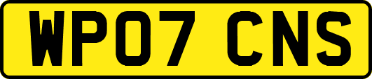 WP07CNS