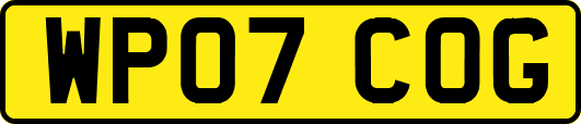 WP07COG