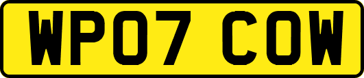 WP07COW