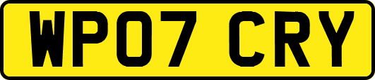 WP07CRY