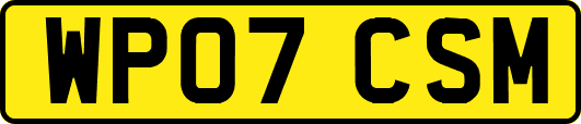 WP07CSM