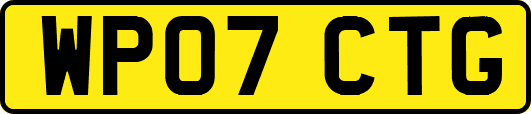 WP07CTG