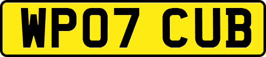 WP07CUB