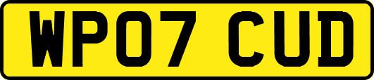 WP07CUD