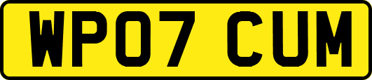 WP07CUM