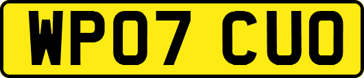 WP07CUO