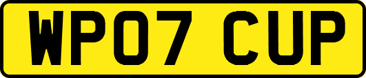 WP07CUP