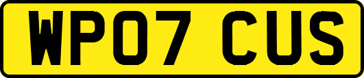 WP07CUS