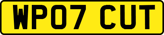 WP07CUT